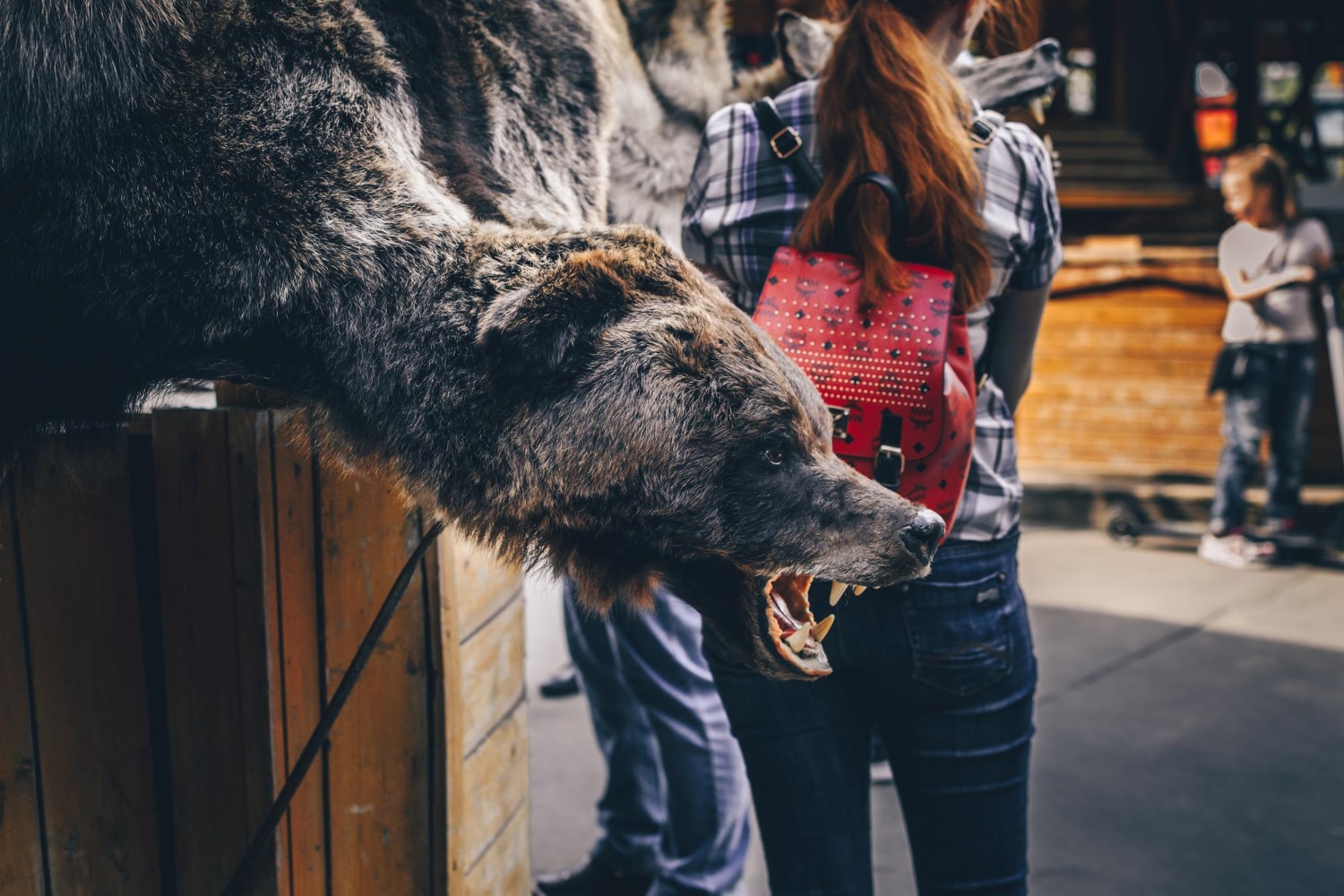 Artisan d&rsquo;art Taxidermiste - Artisanat d'art