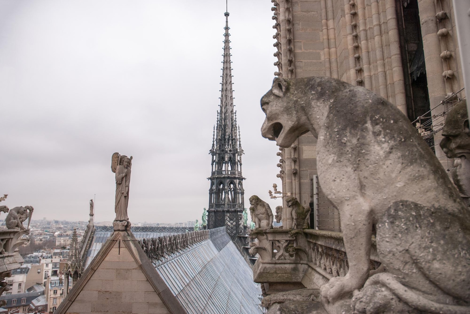 Notre Dame : Un Symbole de Patrimoine et le Travail Passionné des Artisans dans sa Restauration