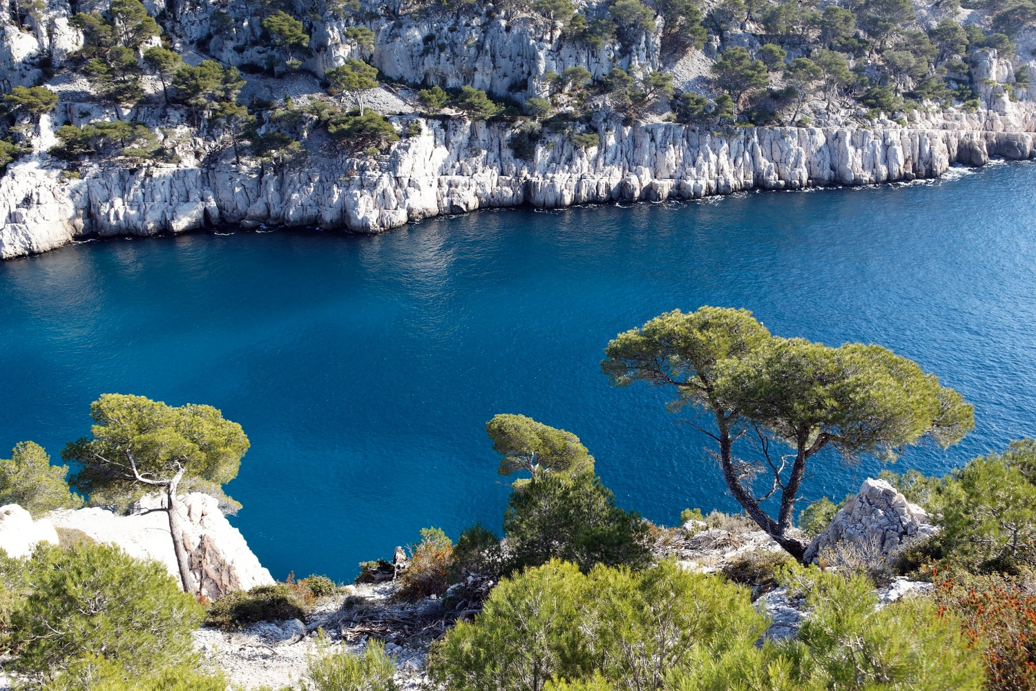 Les Chambres de Métiers et de l'Artisanat (CMA) en Provence-Alpes-Côte d'Azur