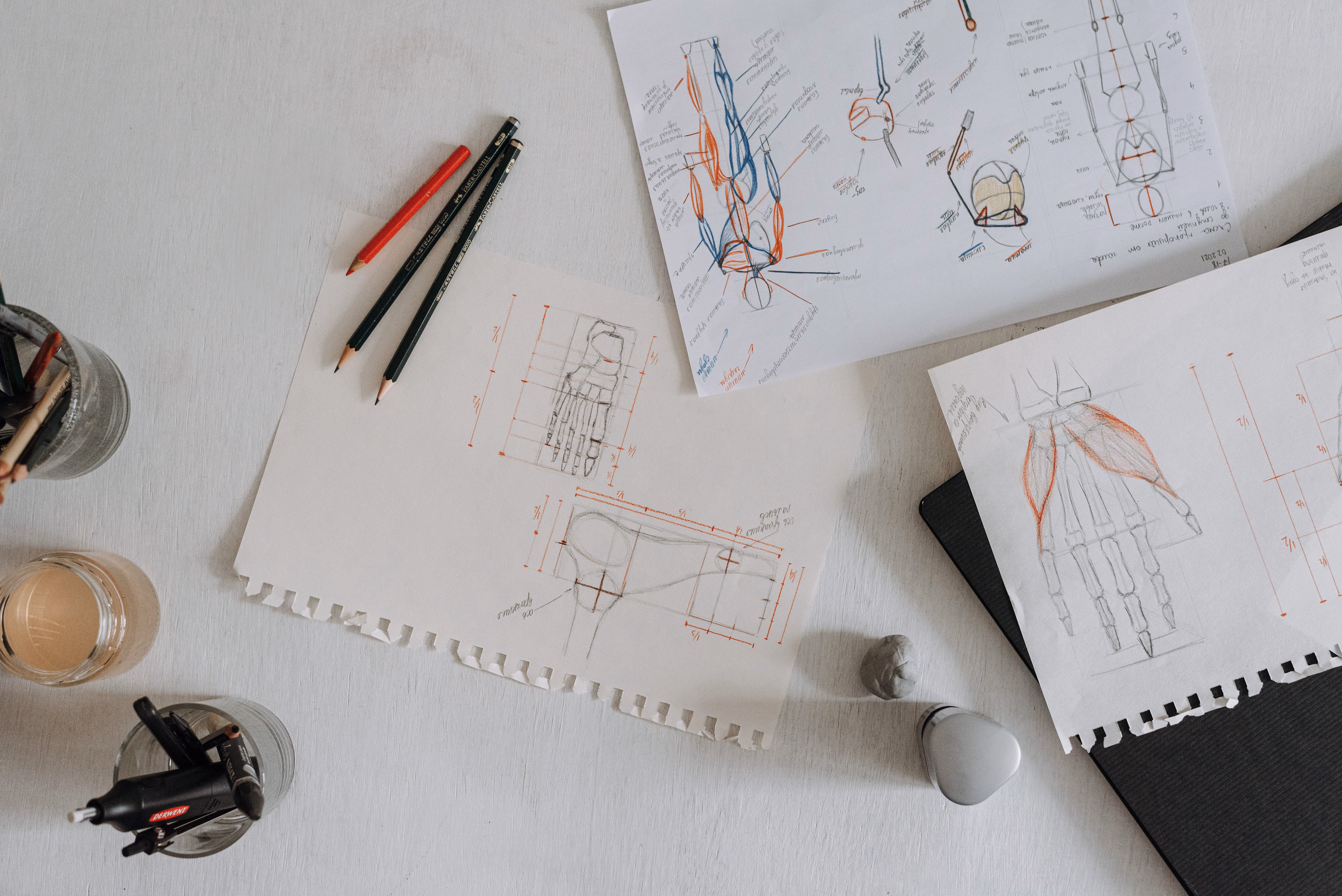 Le dessin anatomique, socle invisible de tous les métiers d'art