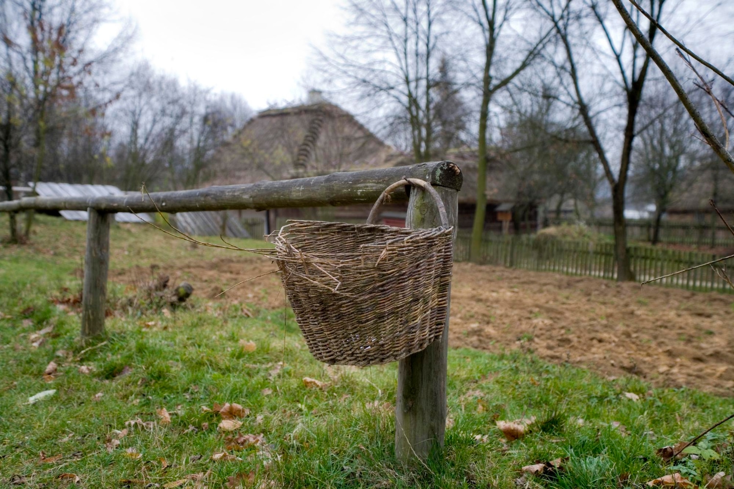 Réparer un panier en osier : brins cassés, anse descellée, fond percé - Artisanat d'art